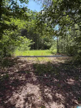 Tree-Lined Hunting Land Parcel
