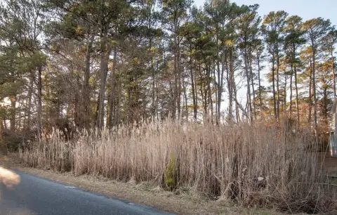 Residential Lot in Resort Community