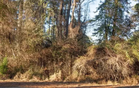 Residential Lot in Captain's Cove