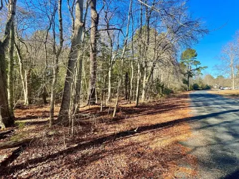Residential Land in Greenbackville, VA