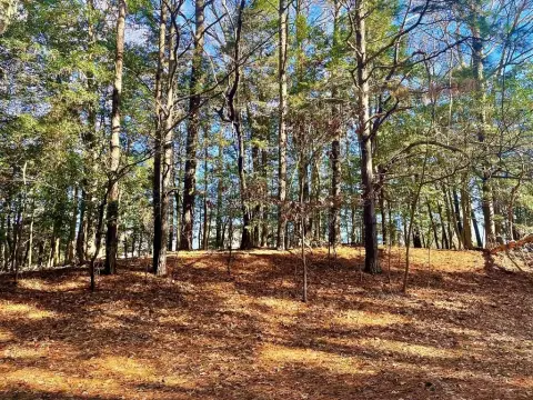 Wooded Lot in Amenity-Rich Community