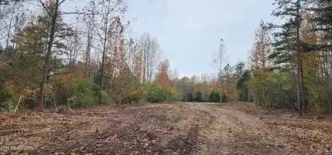 Flat Wooded Land Parcel