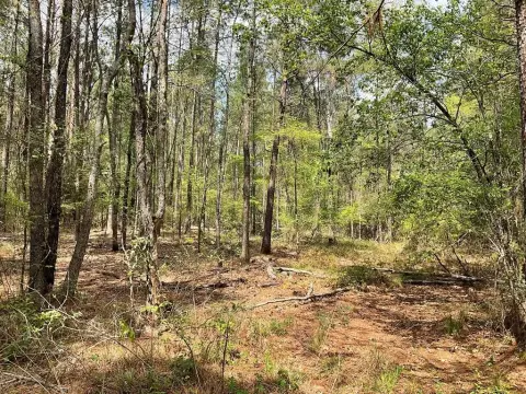 6.23 Acres Near Lufkin