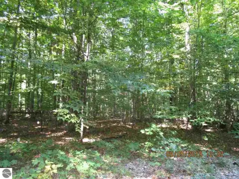Wooded Hunting Land