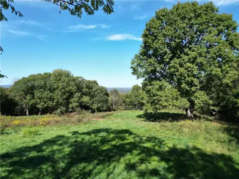 Ozark Land Near Jasper Square