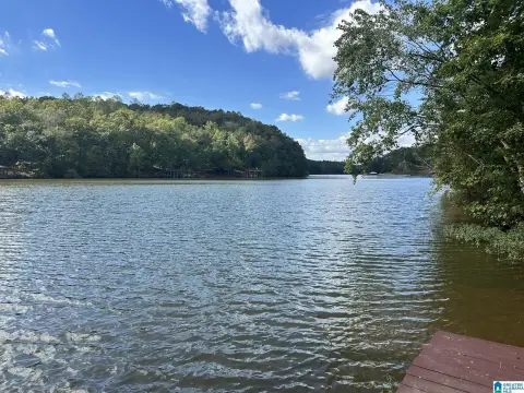 Waterfront Lot in Wedowee, Alabama