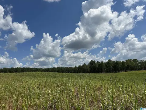 Farmland Tract with Year-Round Creek