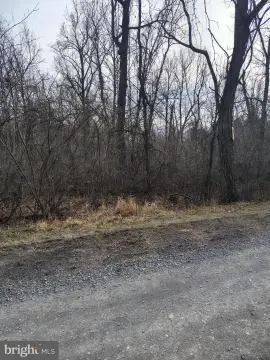 Two Adjoining Building Lots