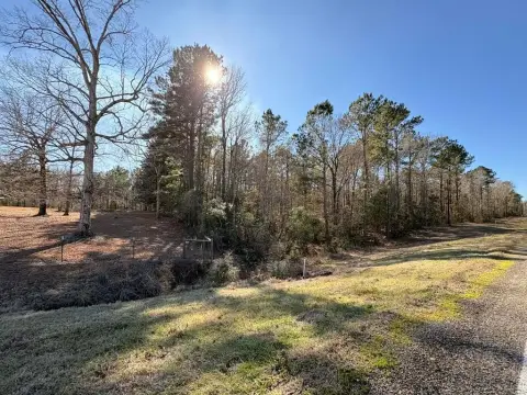 20 Acres of Timber Land