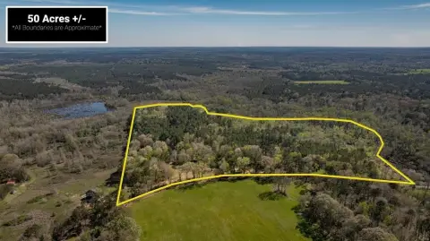 Wooded Recreational Land Tract