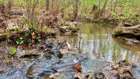 Hemphill, TX Acreage Near Lake