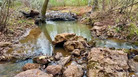 Hemphill Acreage Near Toledo Bend