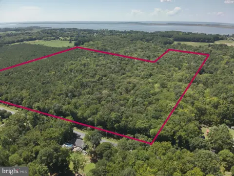Wooded Hunting Land
