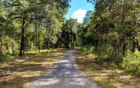 Johns Island 2-Acre Lot