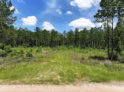 Recreational Hunting Land Tract