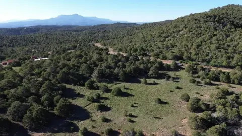 80 Acres Near Picketwire Ranch