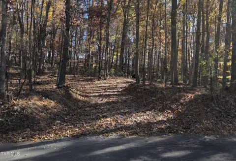 Bluff City Land with Views