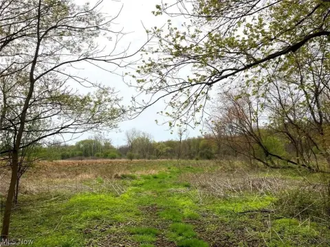 Agricultural Land Along Creek