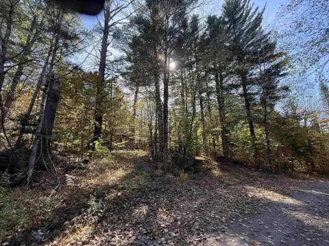 Recreation Land with Cabin Site