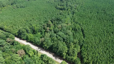 Wooded Hunting Land