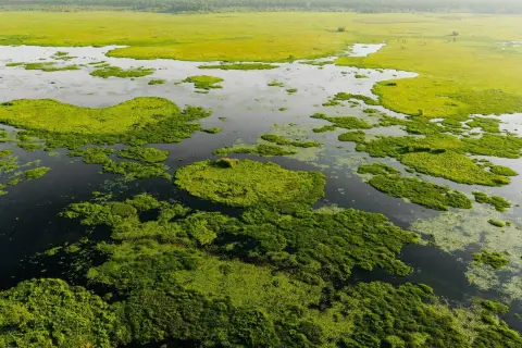 Freshwater Marsh Hunting Land