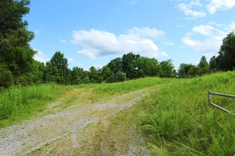 Recreational Land Tract with Road Frontage
