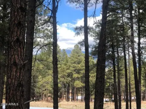 Land with Mountain Views