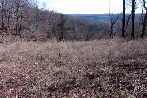 Acreage with River View