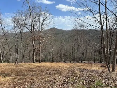 Hayesville Vacant Lot with View