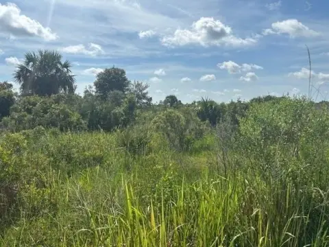 Okeechobee Recreational Land For Sale