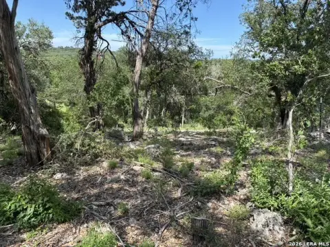Hill Country Homesite Lot