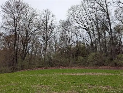 Wooded Land with Audubon Border