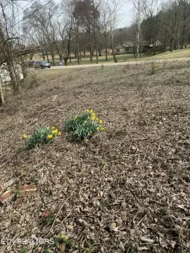 Knoxville Land for Sale