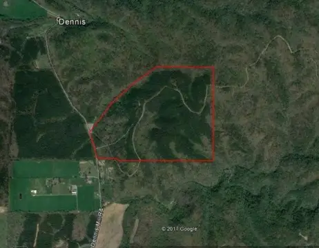 Wooded Mountain Hunting Land
