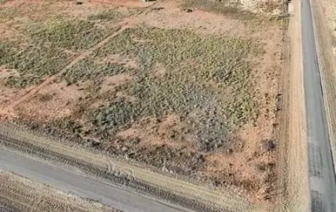 160 Acres Near Denver City