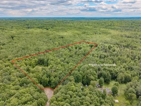 Wooded Recreation Land with Garage