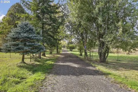 Commercial Land