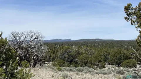 Secluded Land in Pie Town