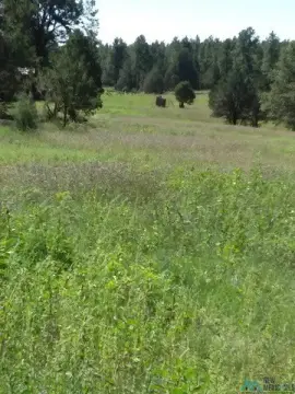 Wooded Agricultural Land