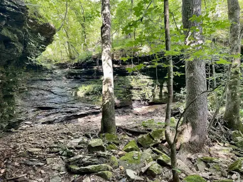 Ozark Mountain Seclusion Acreage