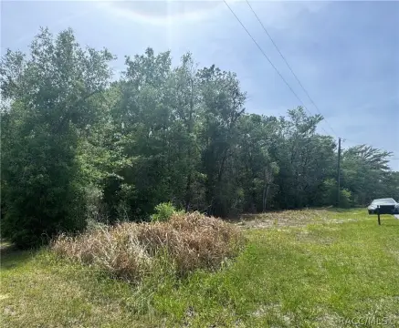 Homesite Near Rainbow River