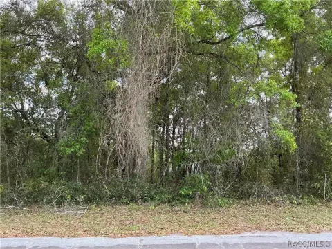 Oversized Corner Lot in Citrus Springs