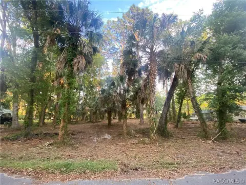 Crystal River Land Opportunity