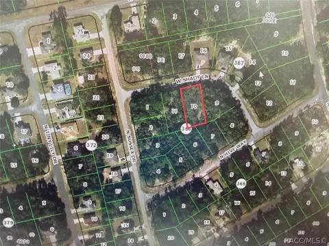 Oversized Homesite in Dunnellon, FL