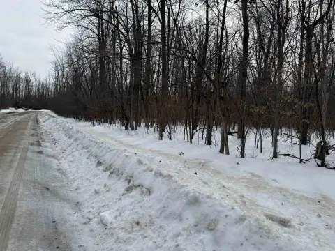 23.8 Acres of Mixed Hardwoods