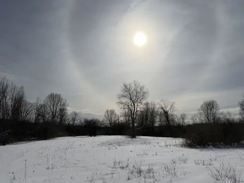 Potsdam Land: Build Your Oasis