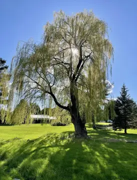 Waterview Lot Ready to Build