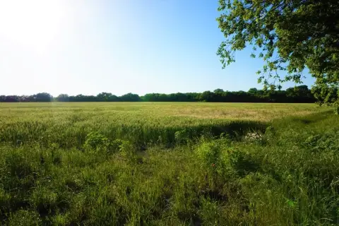 Agricultural Land Tract