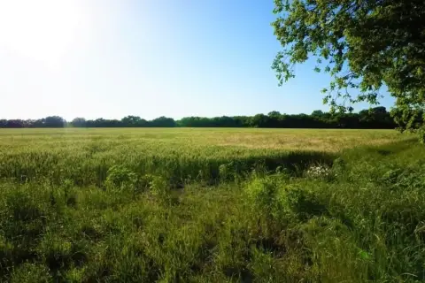 168 AC Farmland Opportunity