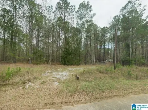 Recreational Hunting Land Parcel